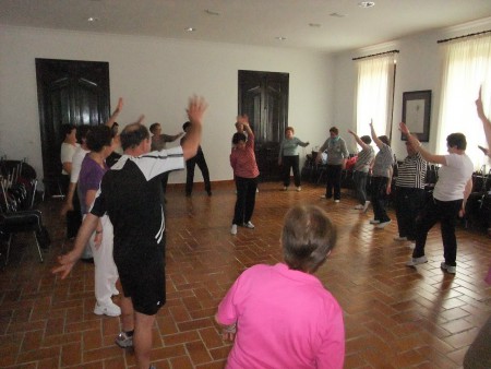 articulaciones y flexibilidad